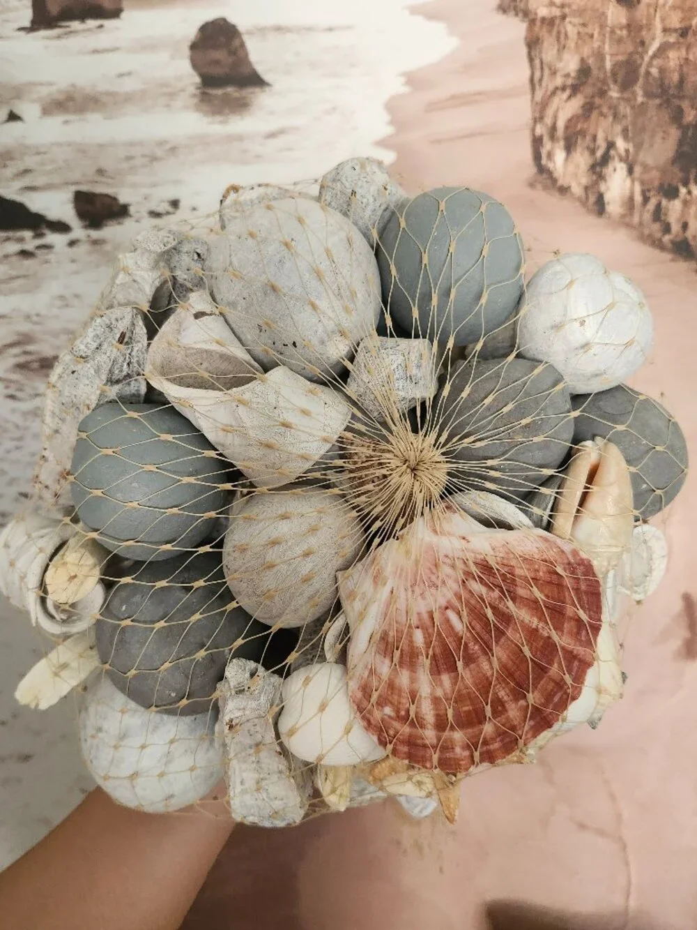 The Collection by Nature's Expressions Botanicals Beach Seashells Mix Decor NWT